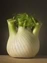 300 Sweet Florence Fennel Foeniculum Vulgare Azoricum Herb Vegetable Flower Seeds