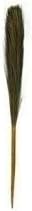 Suraj Brand Grass Stick Regular Phool Jharu Soft Natural Broom