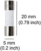 Pack of 10 pcs F10AL Fast-Blow Fuse 10A 10amp 250V Ceramic Fuses 0.2 x 0.79 inch / 5 x 20 mm (F10A Ceramic)