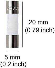 Pack of 10 pcs F10AL Fast-Blow Fuse 10A 10amp 250V Ceramic Fuses 0.2 x 0.79 inch / 5 x 20 mm (F10A Ceramic)