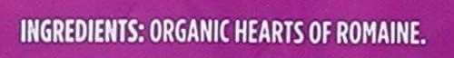 365 by Whole Foods Market, Organic Hearts of Romaine, 3ct, 12 Ounce