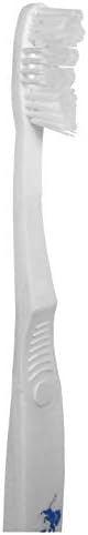 Siskiyou Sports NFL Detroit Lions Solar Powered Unisex Adult Travel Toothbrush and Case, White