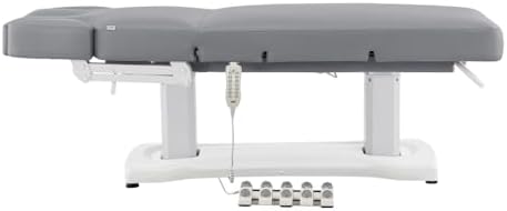 Full Electric Medical Spa Treatment Massage Table Facial Beauty Bed TRANQUILITY