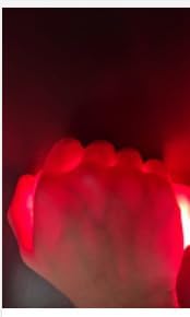 Vein Finder with USB Rechargeable LED, Handheld Vein Finder Viewer for All Skin Type,Vein Mapping and Access Device, Dual Light Source