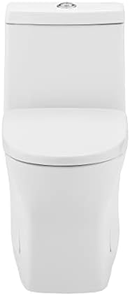 Sublime II One-Piece 10" Rough-in 1.1/1.6 GPF Dual Top Flush Round Compact Toilet in Glossy White