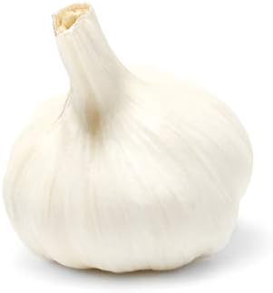 Organic Garlic