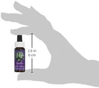 Flower Essence Services Angelica Essence, 0.25 Ounce