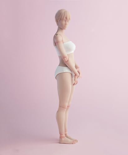 1/6 Scale Female Body,12inch Worldbox Female Joint Flexible Pale Suntan Skin Action Figure Body Collection (Pale Skin, Standard Version)