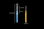 GOUWEIBA 100 pcs Braces Brush Disposable Interdental Brush Toothpick Dental Flossing Head Oral Dental Hygiene Flosser Tooth Cleaning Tools (Mixed Color)