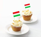 100 Pcs Hungary Flag Hungarians Toothpick Flags, Small Mini Stick Cupcake Toppers Hungarians Flags,Country Picks Party Decoration Celebration Cocktail Food Bar Cake Flags