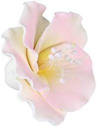 O'Creme Gumpaste White-&-Pink Azalea Flower Set of 6-2 Inch - Edible Flowers for Cake Decorating - Sugar Paste Flower Decorations for Cakes, Cupcake Toppers - Birthday Party, Wedding, Valentines Day