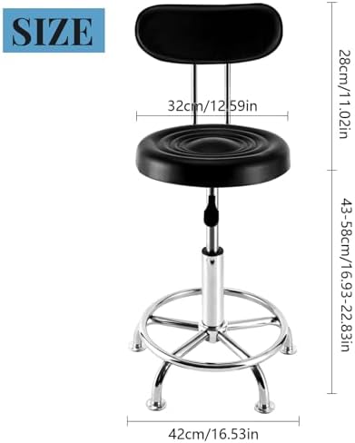 Hydraulic Shop Stool - Height Adjustable Swivel Round Tall Stool Chair with Back Suppor for Salon Tattoo Work Office Massage (Black)