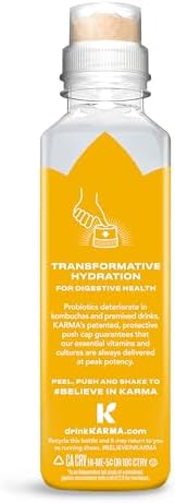 Karma Probiotic Water - 12 Pack, Pineapple Coconut Drink - Immune & Gut Health Support