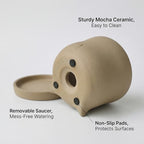Funny Toilet Tray Flower Pot - 1Pcs Creative Mocha Ceramic Face Cactus Planter Pots Flower Container Cute Succulent Planter Pot with Drainage Tray for Garden Home Office Decor Plant Lover Gift