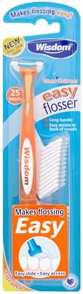 Wisdom Easy Floss Daily Flosser - Random Colour
