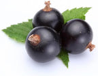 OliveNation Blackcurrant Extract from Natural Flavors, Cassis Flavoring for Baking, Beverages, Filling, Sugar Free, Non-GMO, Kosher, Vegan - 4 ounces