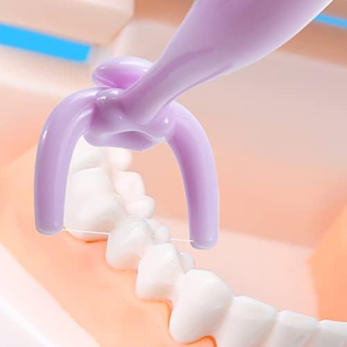 Design Reusable NO-Waste Dental Floss Handle 2 Counts for Adults and Kids Teeth Cleaning Unflavored Floss Picks Colorful Flosser