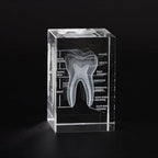 3D Crystal Human Tooth Model - Cubic Etched Anatomical Tooth Model for Home and Office Decoration Dentists Gifts
