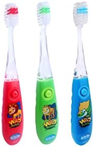 Children's Battery Powered Toothbrush with Flashing Timer - Pack of 3 (Wild Bunch - Boys)