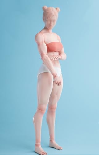 1/6 Scale Female Body,12inch Worldbox Female Joint Flexible Pale Suntan Skin Action Figure Body Collection (Pale Skin, Muscler Version)