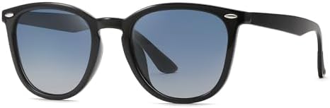 FEISEDY Retro Photochromic Classic Polarized Sunglasses for Women Men Trendy Style Vintage Sunnies B1123