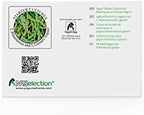 Yogurt Starter Cultures - Pack of 3 Freeze-Dried Sachets for Lactobacillus Rhamnosus and L.Gasseri Yogurt (3 sachets Pack)