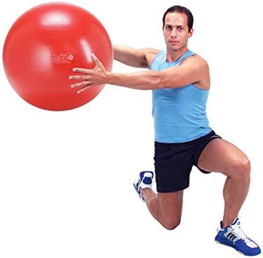 Gymnic Classic Plus Burst-Resistant Exercise Ball
