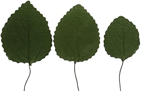 Global Sugar Art Hydrangea Leaves Sugar Cake Flowers Green Mix of Large Medium and Small, 15 Count by Chef Alan Tetreault