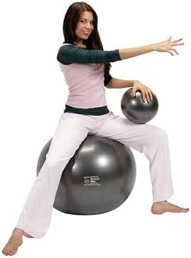 Gymnic Plus Burst-Resistant Exercise Ball