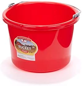 Plastic Animal Feed Bucket (Purple) - Little Giant - Round Plastic Feed Bucket with Metal Handle (8 Quarts / 2 Gallons) (Item No. P8RED6)