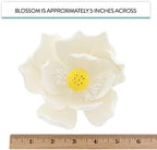 Global Sugar Art Lotus Blossom Sugar Cake Flowers White Jumbo, 1 Count by Chef Alan Tetreault