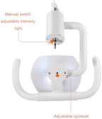 Global-Dental 50W Wall Hanging Surgical Examination Lamp Wall-Mounted Shadowless Cold Lamp Light with Arm for 22mm