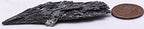 60ct 2.5" Black Kyanite Feather Blades Cluster Rough Natural Gemstone Crystal Mineral Raw Specimen - Brazil
