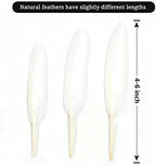 FeelfunFeather 120pcs White Goose Cochettes Feather Natural Bulk 4-6 inch 10-15cm for Wedding Party Christmas Halloween Decorations DIY Crafts