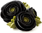 Satin Ice Gum Paste for Cake Decorating, Black (2 Pound)