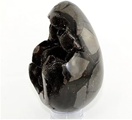 Health & Household Large Septarian Nodule/Dragon Egg w/Druzy Aragonite (Madagascar) Natural Crystal Specimen