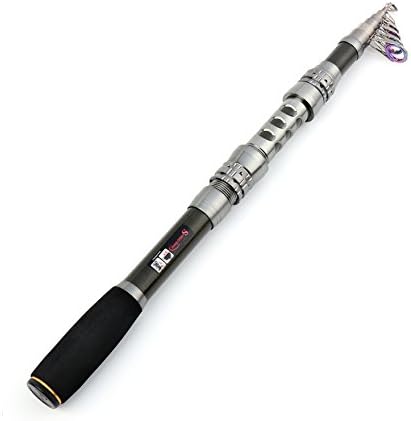 Sougayilang Fishing Rod Reel Combo with Telescopic Fishing Pole Spinning Reel Carrier Bag for Travel Saltwater Freshwater Fishing