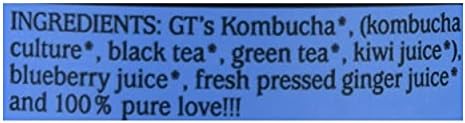 SYNERGY The Real Kombucha - Gingerberry - 16 fl oz Bottle - Raw Probiotic Drink for Gut Health and Immune Support