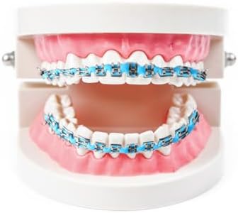 Brackets Falsos Para Dientes, Braces Kit with Brackets & Wire Perfect for Dental Students & Orthodontic Practice, Brackets Para Dientes for Dental Students to Practice (Light Blue)