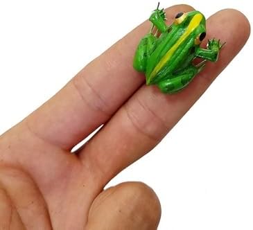 1pcs Simulation Insect Uang Cicada Cricket Frog Gardening Micro-Landscape Decoration Teaching Model Refrigerator Stickers (Frog)