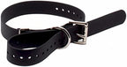 Educator 1-Inch Dog Training Collar Strap – ONLY Fits FE-580, ET-800 & UL-1200 Receivers – NOT Compatible with Mini Educator (ET-300/ET-400) – Durable Biothane Collar, Black
