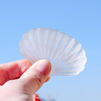 Erliway Natural Selenite Seashell 2.75" Large Selenite Quartz Crystal Seashell Healing Stone Carved Ornaments for Cleansing Protection Reiki Spiritual Healing Home Decor