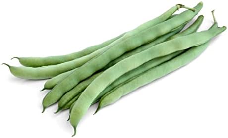 Fortex Vining French Green Bean Haricots Verts Premium Seeds for Planting Packet