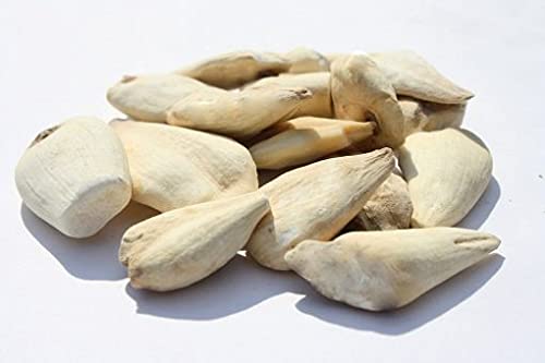 SEJAL AYURVEDA SURANJAN MITHI PURE ORGANIC COLCHICUM SWEET SURANJAAN 250g