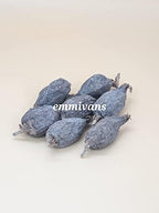 Emmivans Alligator Pepper Pods, African Grains of Paradise, Whole Spice, 7 Pieces