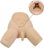 Male and Female Manikin Urinary Catheterization Model Nursing Practice Simulator Interchangeable Mannequin for Nursing Medical Training