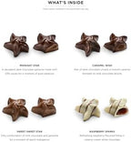 Godiva Holiday Stars Collection Gift Box, Festive Star-Shaped Chocolates with Ganache, Caramel & Raspberry Filling, Limited Edition Holiday Assortment, 16 Pc