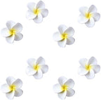 O'Creme White Plumeria Royal Icing Sugar Flower 1-1/4 Inch, Pack of 8