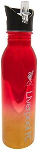 Liverpool F.C. 700ml Stainless Steel UV Coated Sports Bottle, Red/Gold
