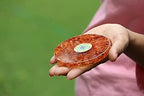 Jet Carnelian Orgone Tea Coaster Flower of Life Round 3.5 Inch Diameter Approx. 40 Page Crystal Therapy Booklet